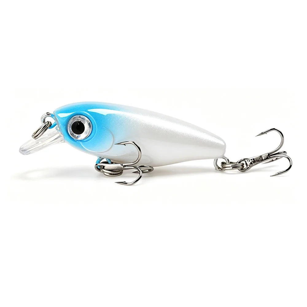Micro Minnow