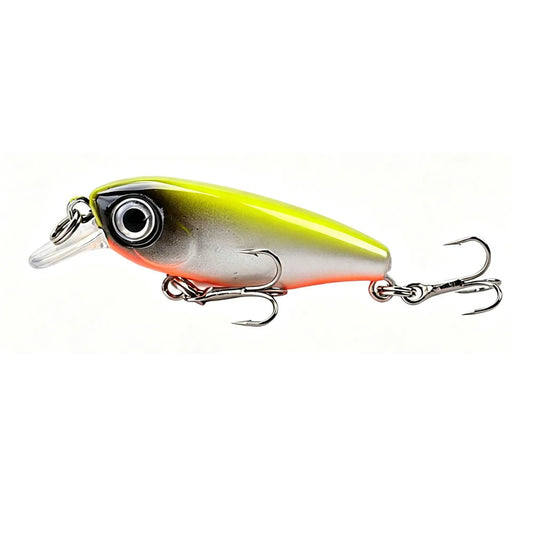 Micro Minnow